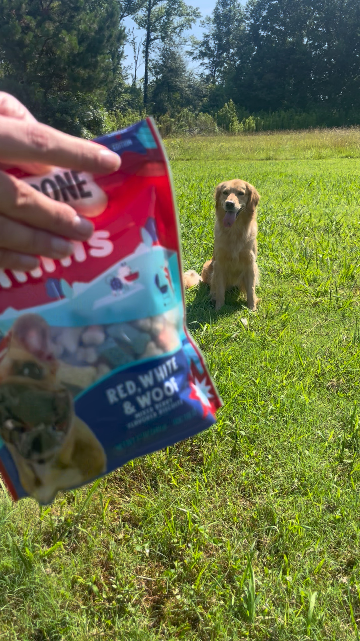 Milk Bone Treats