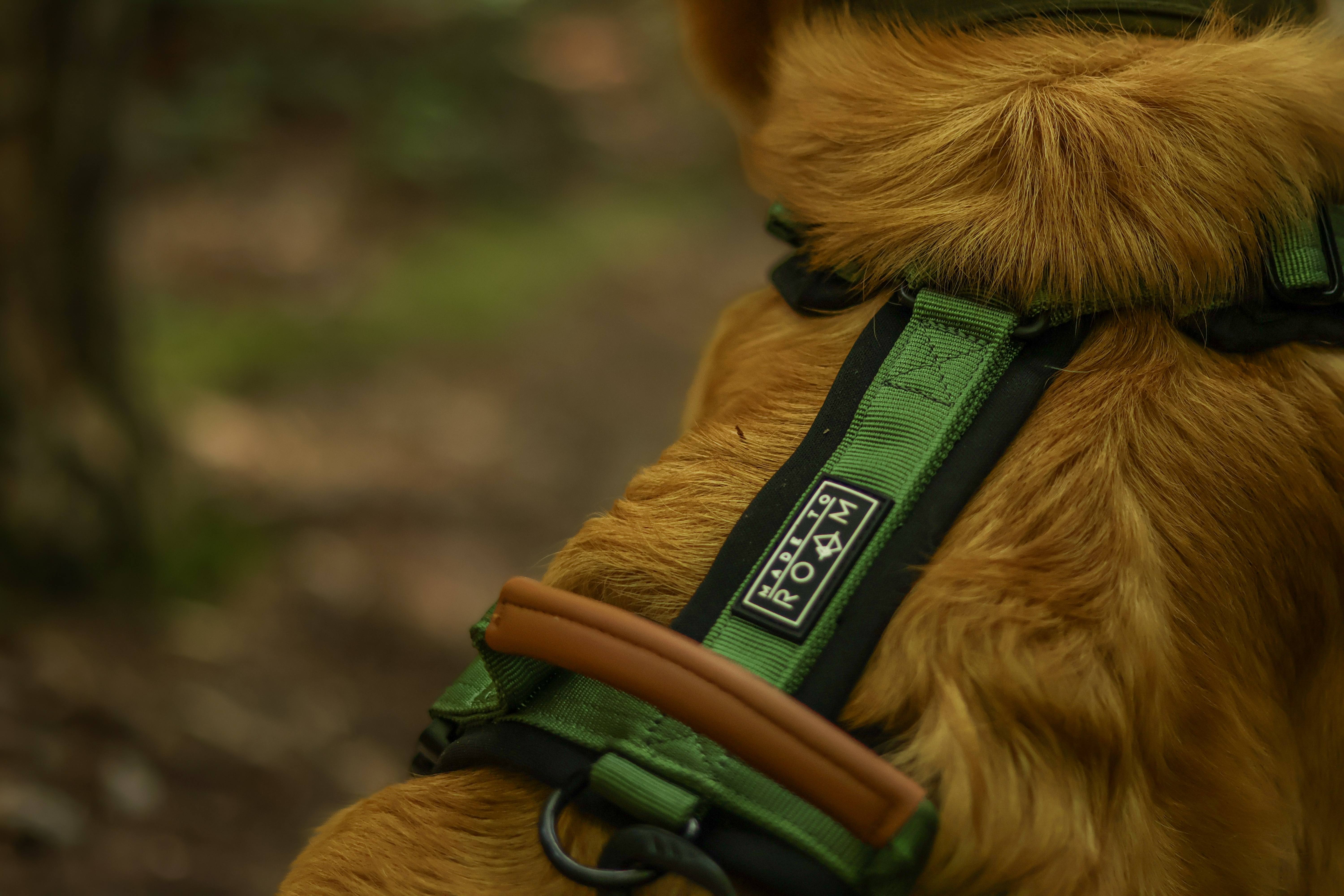 Made To Roam Harness